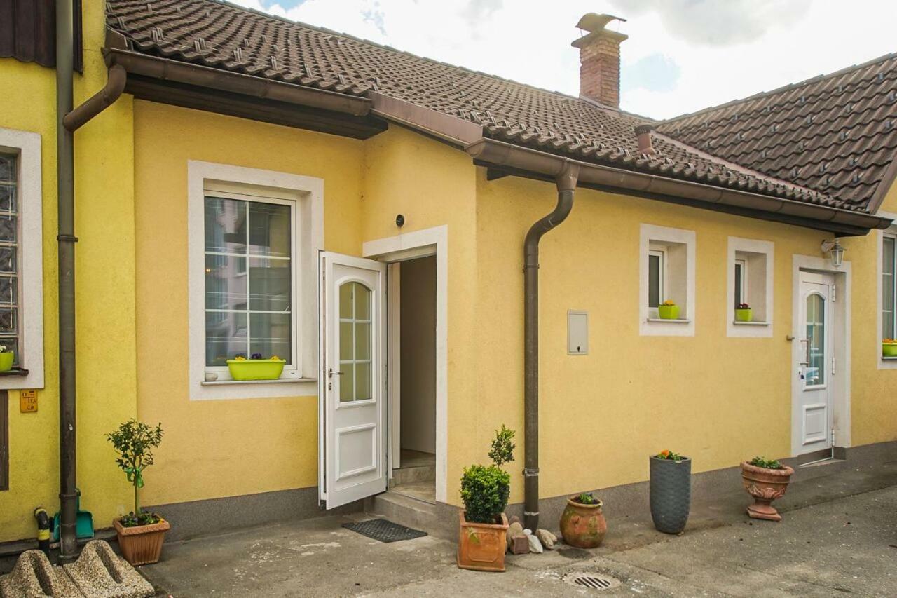 Appartement Auszeit Leoben 1 Mit Terasse Und Gratis Parkplatz Extérieur photo