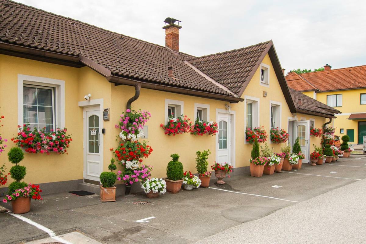 Appartement Auszeit Leoben 1 Mit Terasse Und Gratis Parkplatz Extérieur photo
